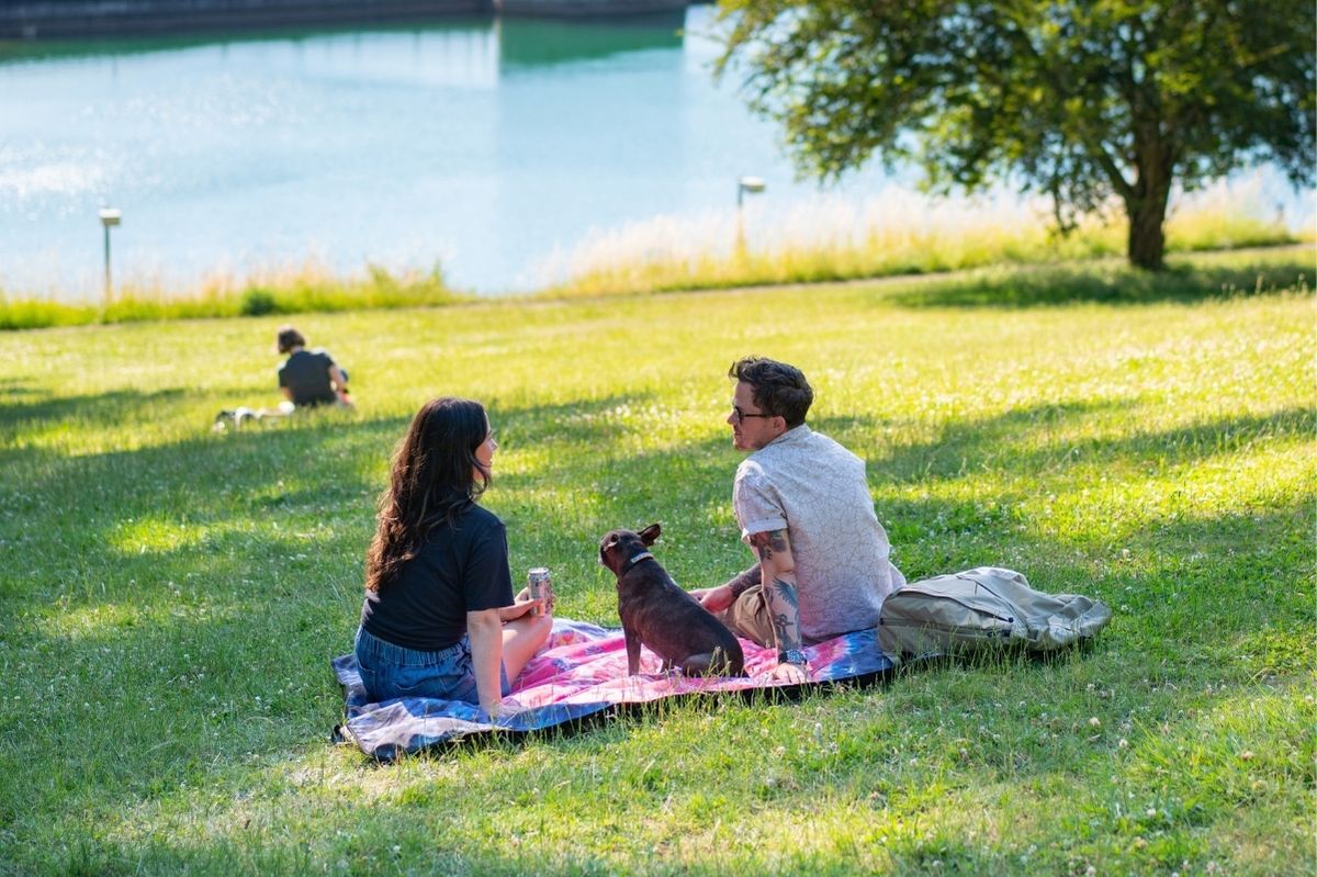 Picnic Blankets