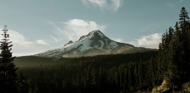 Rumpl, brand website product image