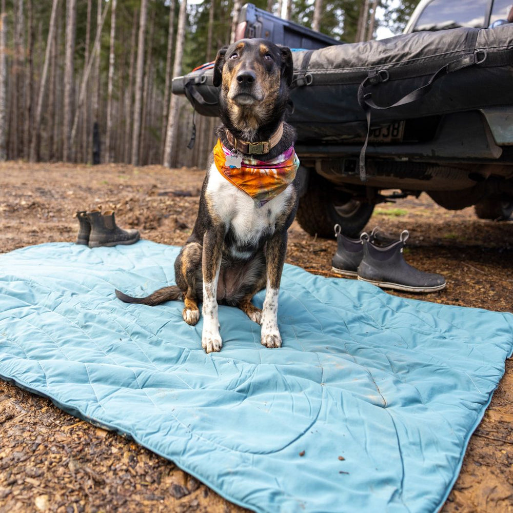 Rumpl Overland Mat - Sage Green Overland Mat - Sage Green | Rumpl Blankets For Everywhere Overland Mat